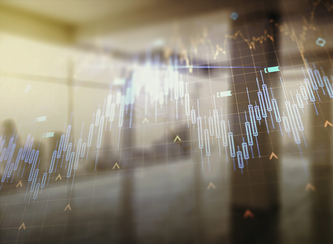 投资者关系- 公司治理结构