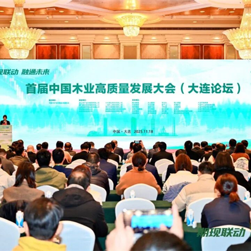 荣耀加冕！兔宝宝荣膺“中国木业高质量发展领军企业”，实力引领行业未来