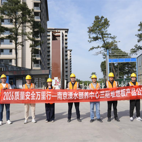 2026质量安全万里行丨兔宝宝南京溧水颐养中心三期公检活动