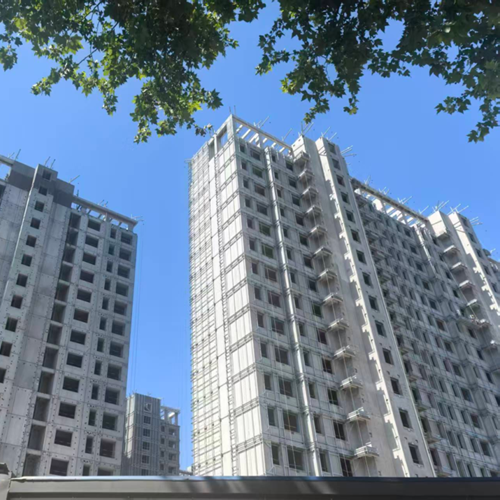 兔宝宝难燃胶合板赋能政务东改善标杆 张秋冬携安徽鲁森助力意禾澄庐精装建设