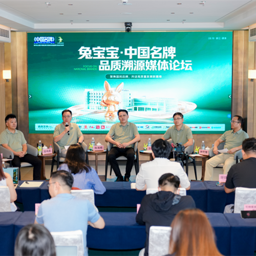 聚焦中国名牌 | 兔宝宝发展新质品牌力，推进品牌强国建设