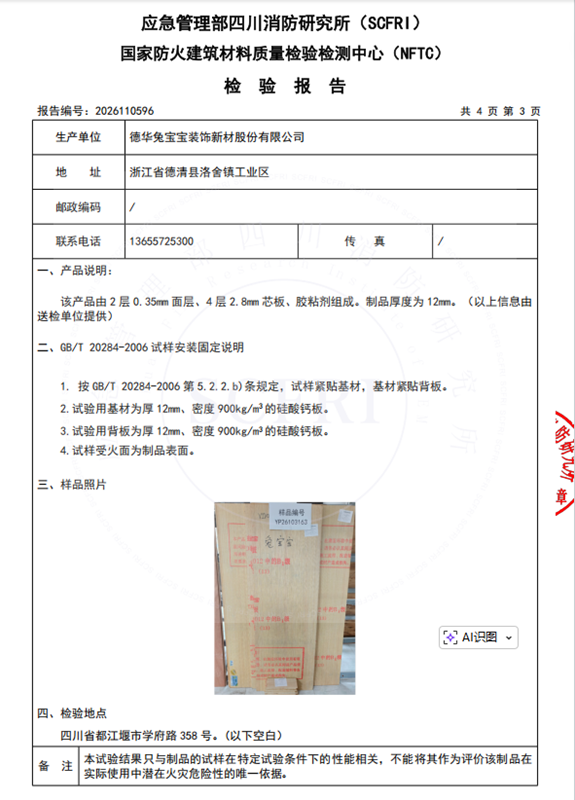 燃烧性能检测报告