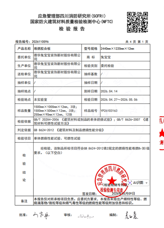 燃烧性能检测报告