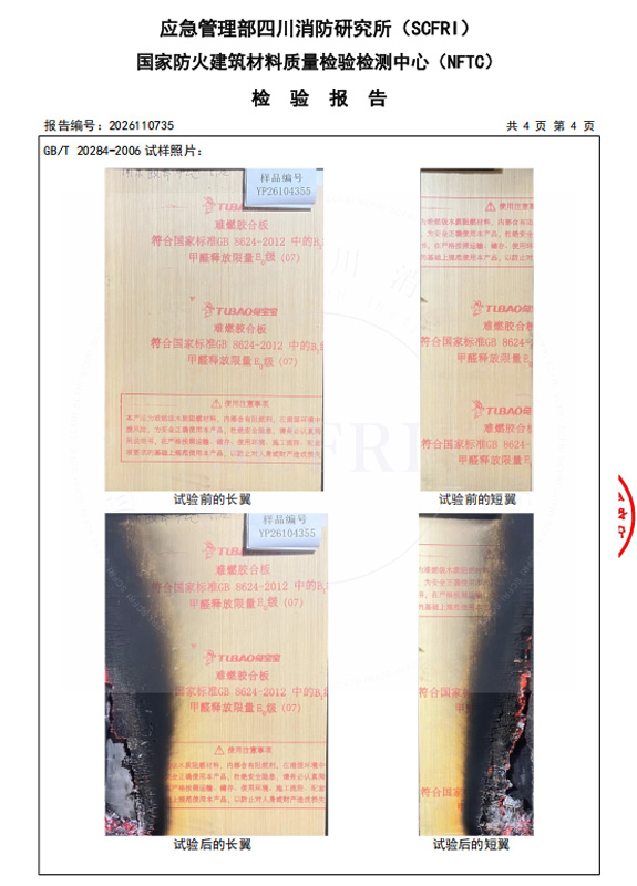 燃烧性能检测报告