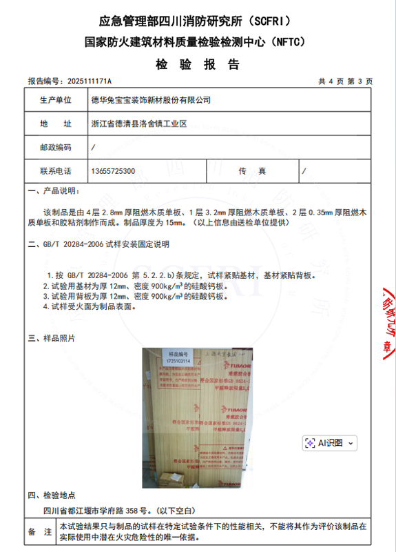 燃烧性能检测报告